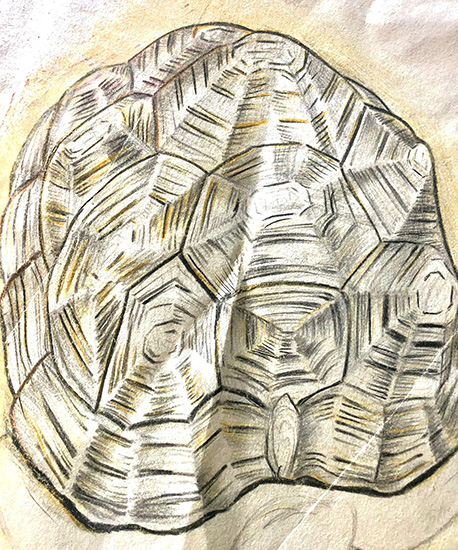 Tony Bishop | Contemporary Artist | St Helens